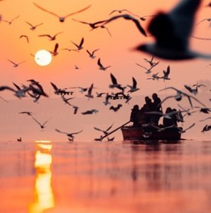 Delhi-city-tour-61